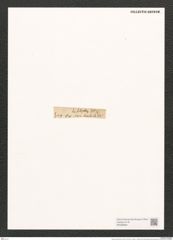 Navicula bomboides A.Schm. (de-Toni-Nr.: Genus 1, Species 203) Zeichnungen Sammlung Grunow (NHMW-BOT-W0366864)